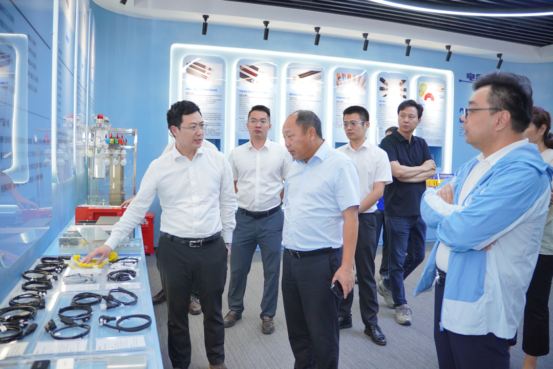 xc sports(中国区)-官方网站